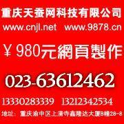 供应九龙坡网站建设公司及软件开发服务，助力灯具照明企业拓展市场