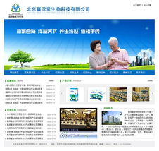 网页设计与网站建设 从视觉美感到技术实现的全方位解析